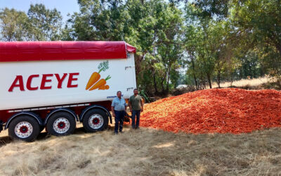 Canalizan envíos solidarios de zanahorias para el ganado afectado por los incendios como complemento de las ayudas institucionales