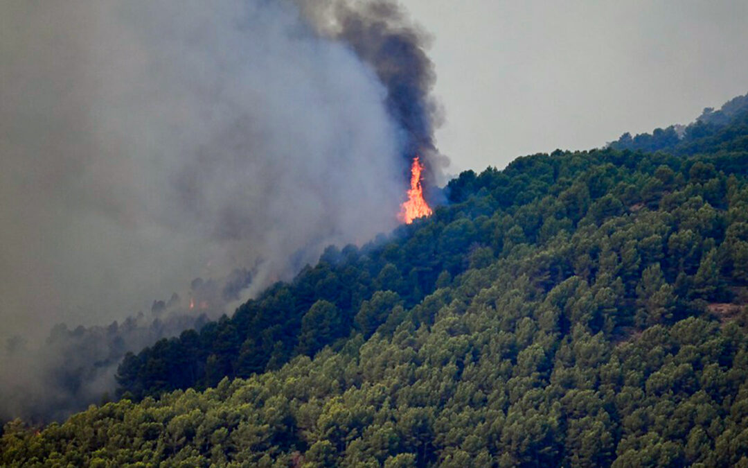Llamamiento político, social y medioambiental frente al drama de los incendios forestales: reclaman una acción política urgente