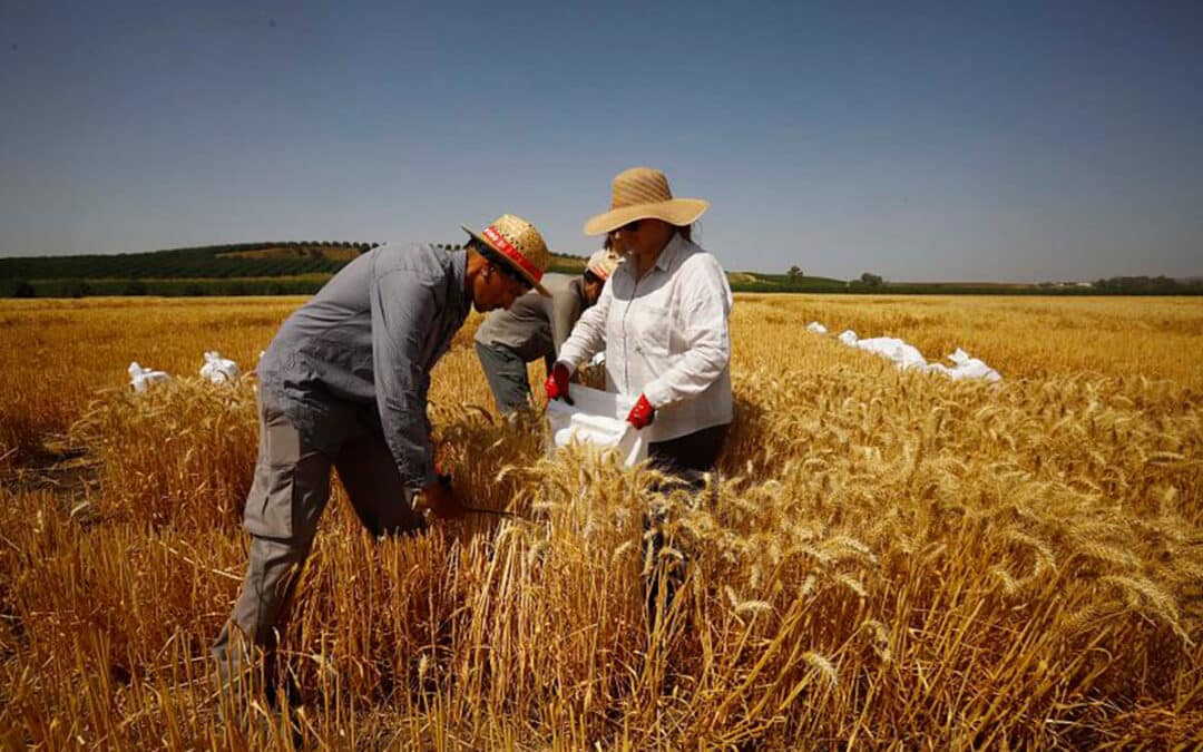 Aemet prevé más calor de lo normal de julio a septiembre y lluvias asociadas a tormentas durante este trimestre veraniego