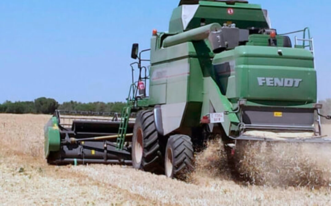 Arranca la campaña de cereales 2026 en Castilla y León con subidas de hasta 18 euros por la fuerte retención de producto en todo el país