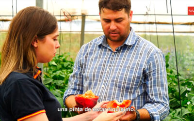 El vídeo que ha llegado a más de 600 colegios madrileños y que nadie se debería perder porque enseña el origen de frutas y verduras