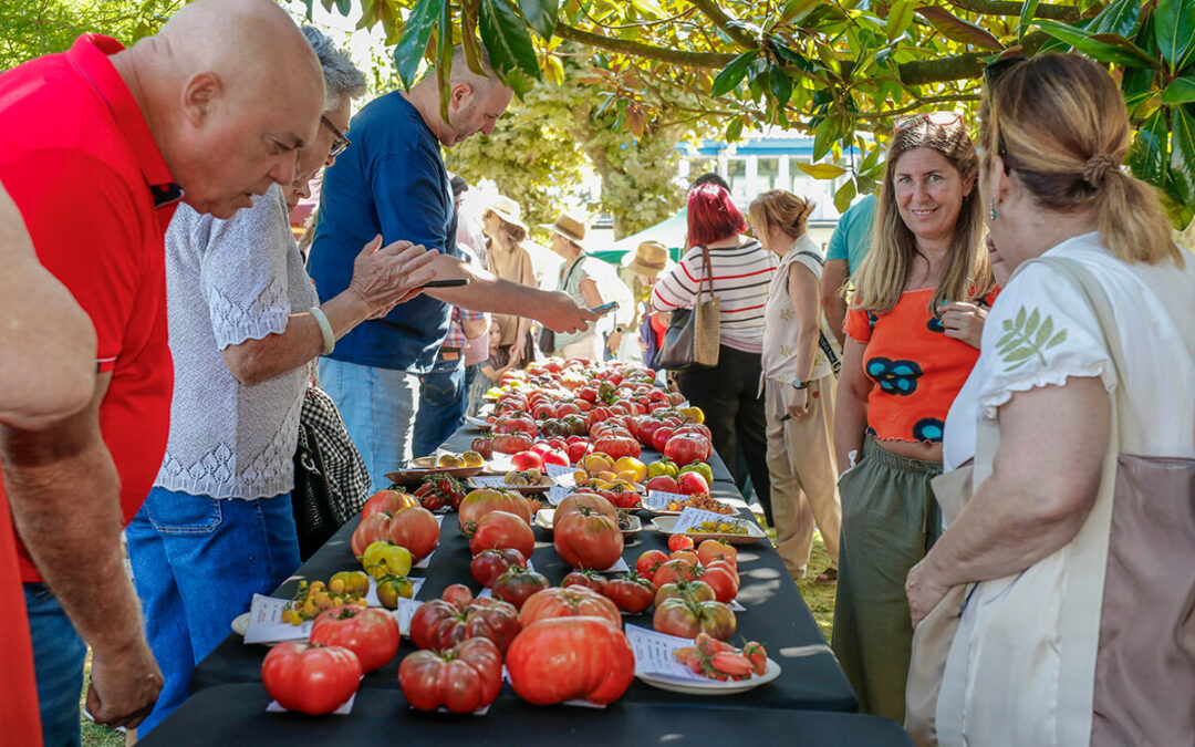 El Negro del Escorial: Una variedad madrileña se corona como el mejor tomate de España en la VIII Feria Nacional del Tomate Antiguo
