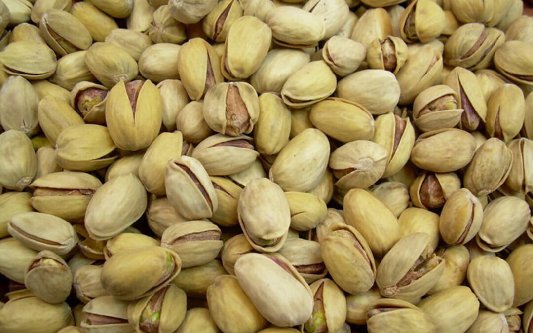 La cosecha de pistacho en Andalucía cierra una campaña récord de 700 toneladas y con los precios en origen más altos del último lustro