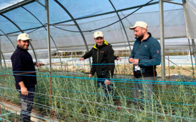 El sector se implica y vuelve a animar a los jóvenes agricultores y ganaderos a participar en el programa Cultiva 2026