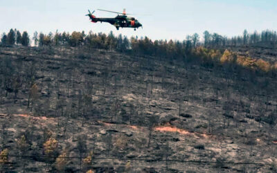 Una labor de todos: las buenas prácticas en el campo son esenciales para prevenir los incendios forestales al ayudar a minimizar los riesgos