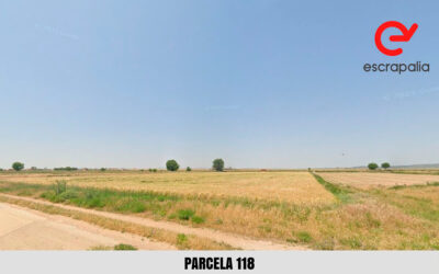 La Asociación contra el Cáncer saca a subasta 100.000 m2 de terrenos agrarios, pastos y forestal en 10 localidades con descuentos del 70%