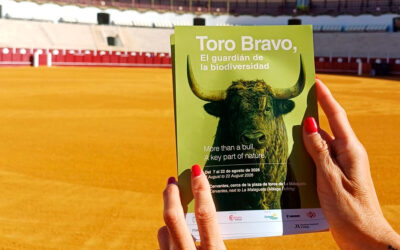 La RUCTL distribuye 10.000 folletos para anunciar la llegada de la exposición fotográfica «Toro Bravo, guardián de la biodiversidad» a Málaga