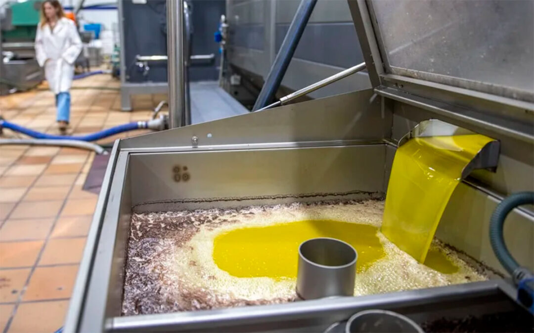 Planas se desmarca del enfado del sector y descarta que el aceite de oliva importado de Túnez tenga un efecto negativo en los precios