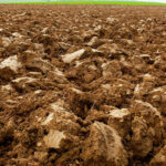 Agricultura regenerativa: cuando el suelo deja de ser un soporte para convertirse en sumidero climático