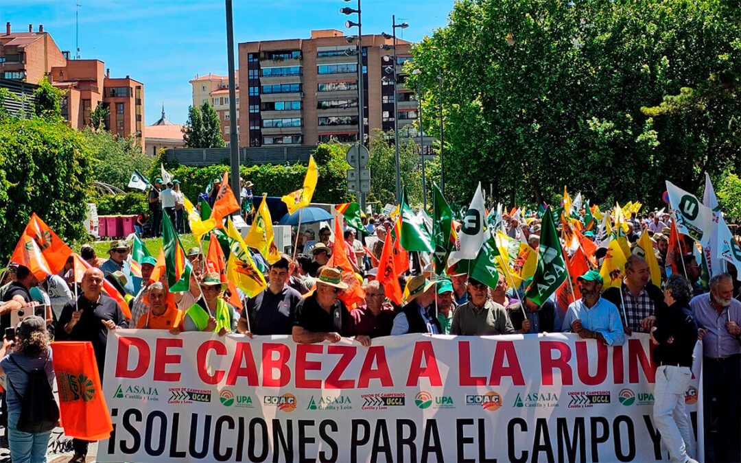 El enfado señala culpables: el sector de Castilla y León apunta a la responsabilidad de los operadores del ‘Mercado’ en la crisis de precios de los cereales