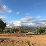 Ante el debate de la futura PAC: rechazan que el desarrollo rural se financie con las ayudas directas de los agricultores y ganaderos