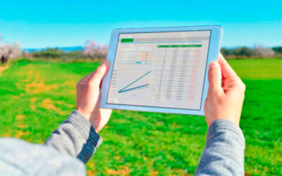 El cuaderno de campo digital será obligatorio en 2027: una empresa de Ciudad Real desarrolla el software para que los agricultores cumplan sin papeleo