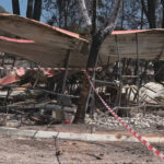 La Junta andaluza flexibiliza las exigencias de alimentación del ganado ecológico afectado por el incendio de Niebla hasta febrero de 2027