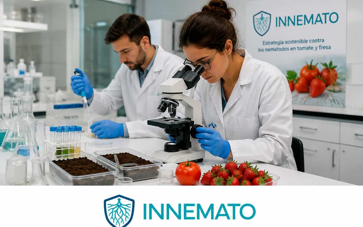 Запуск инновационного проекта INNEMATO для экологичной борьбы с нематодами в сельском хозяйстве