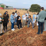 La rentabilidad agrícola y las plantas silvestres comestibles protagonizan las propuestas del IRNASA-CSIC para Salamaq