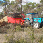 A debate la prevención de incendios, la gestión forestal sostenible, el sector del corcho y la situación actual de la ganadería extensiva