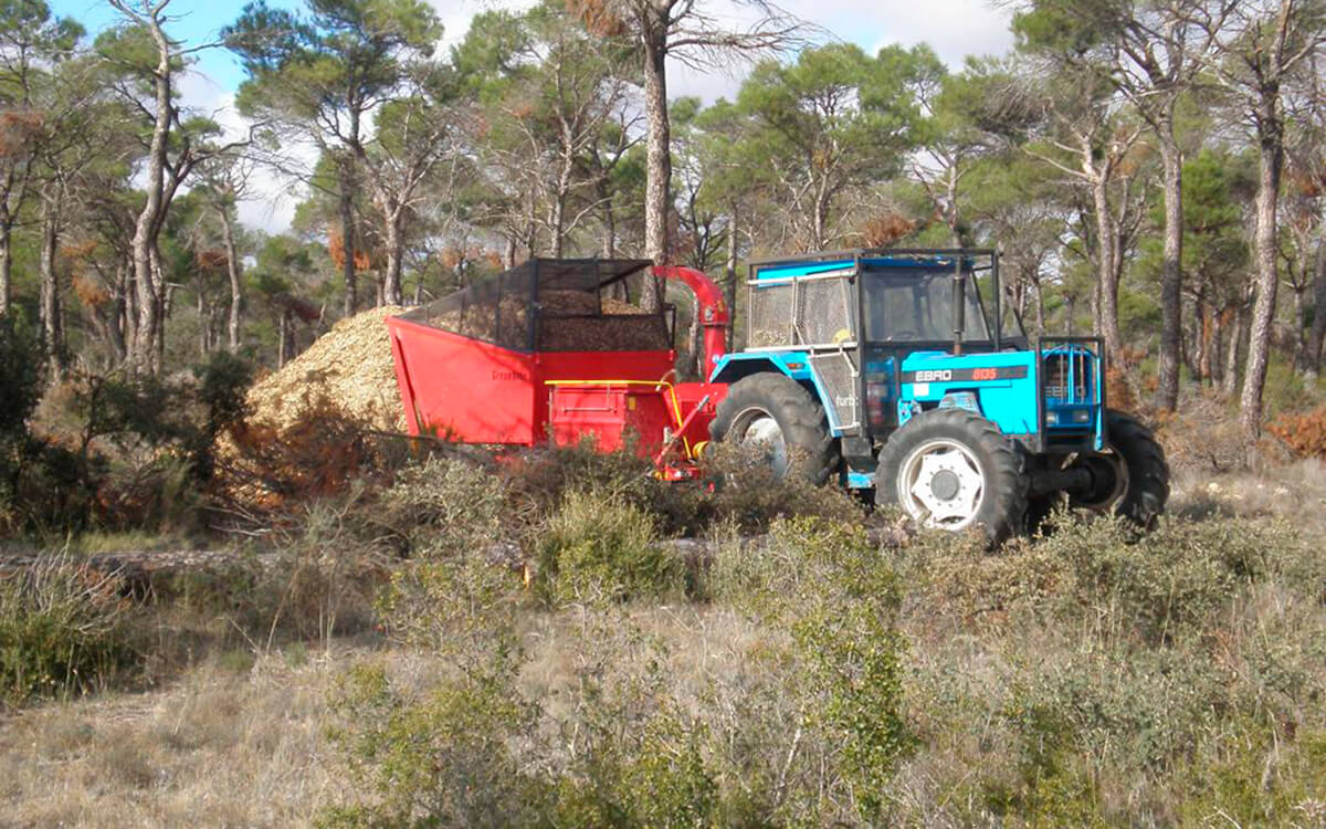 A debate la prevención de incendios, la gestión forestal sostenible, el sector del corcho y la situación actual de la ganadería extensiva