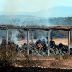 Indignación por ser «injusto y discriminatorio» el límite de 500 hectáreas establecido para poder acceder a las ayudas por incendios