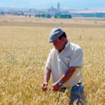Planas defiende mantener las ayudas de la PAC a los «agricultores ocasionales», como los jubilados, porque evitan abandono el campo