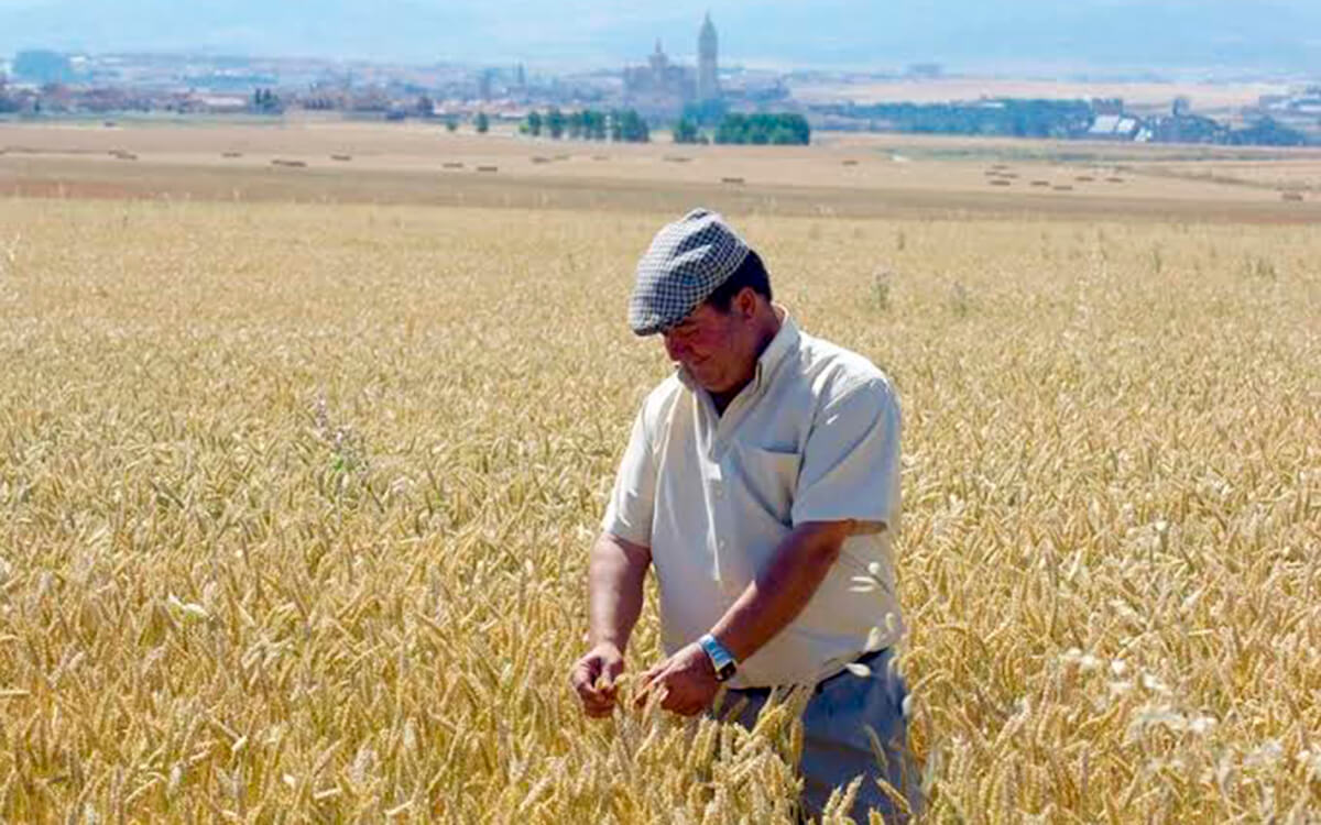 Planas defiende mantener las ayudas de la PAC a los «agricultores ocasionales», como los jubilados, porque evitan abandono el campo