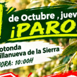 Convocada ante Delegación un paro y concentración de olivareros este jueves «por los precios miserables que los industriales quieren pagar»