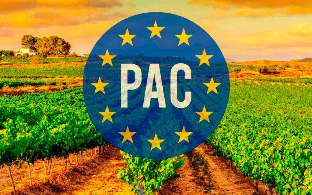 Cada vez que en Europa se habla (o se deja de hablar) de la PAC se incrementa la preocupación por su futuro en el campo