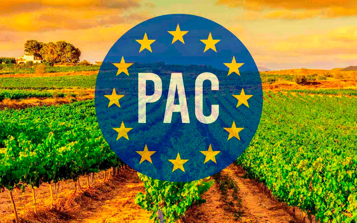 Cada vez que en Europa se habla (o se deja de hablar) de la PAC se incrementa la preocupación por su futuro en el campo