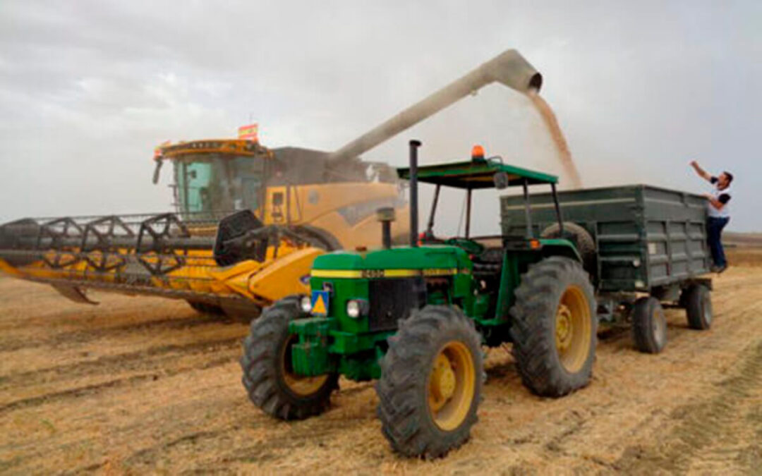 El consejero de Agricultura pide «sensibilidad» a la Junta de CYL para que sume fondos extras de ayuda para el cereal y el sector apícola