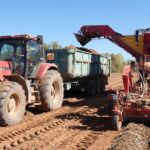 Castilla y León exige al Gobierno una mayor flexibilidad en el campo sin esperar a la próxima PAC y que deje de ser «una política ambiental»