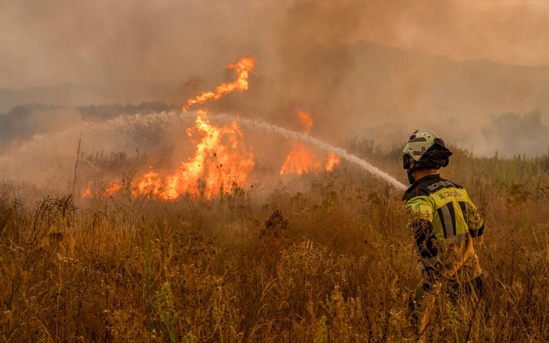 Declarada en Castilla y León la situación de incendios forestales hasta el domingo 6 aunque no afectará de inicio a la cosecha o empacado