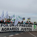 Mas de 250 agricultores exigen a la presidenta de la Junta de Extremadura ayudas para la aceituna de mesa y damnificados por las borrascas