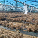 Sigue el enfado: denuncian que el Gobierno incumple el plazo de presentar el tercer listado de beneficiarios de las ayudas por las borrascas