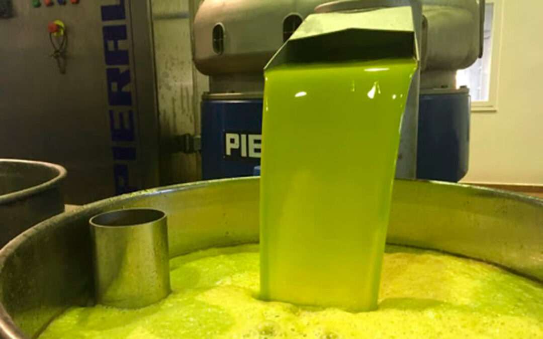 Exigen al Ministerio la activación inmediata de la norma de comercialización del aceite de oliva: la cotización actual, por debajo de los costes de producción