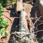 Los graves daños en infraestructuras agrarias por la DANA Adam en Alicante podría tardar años en arreglarse y hay más de mil colmenas arrasadas