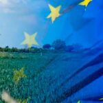 Así es el nuevo acuerdo de la UE sobre la PAC del que Planas valora que «hemos conseguido mantenerla como política europea»