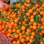 Presentan a la CE una solicitud para activar la cláusula de salvaguardia por los pequeños cítricos, como las mandarinas, de Sudáfrica