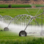 El precio medio de la tierra de uso agrario en España cuesta 10.367 euros por hectárea pero la de regadío llega hasta los 47.143 €/ha