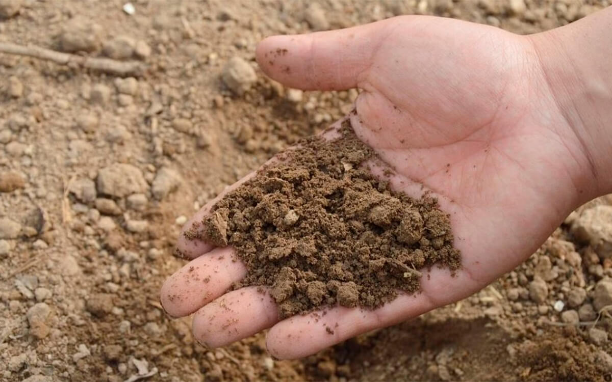 Proyecto CONFETI: Crean un sistema que produce un fertilizante en el propio campo y con energías renovables