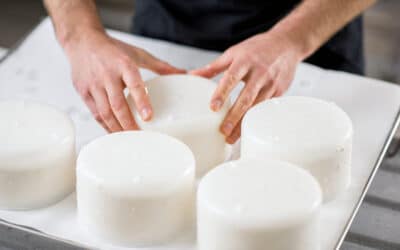 La nueva norma andaluza pata el queso artesano impulsa el sector y refuerza su vínculo con la ganadería de proximidad
