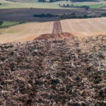 La superficie de cultivos en España se recorta más de 500.000 hectáreas en una década: bajan los cultivos herbáceos mientras suben los leñosos