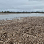 El Ministerio abona un segundo pago de 8,8 millones a 934 agricultores y ganaderos por daños de las borrascas no cubiertos por las pólizas de seguro